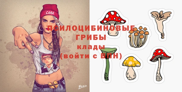 крисы Алексин