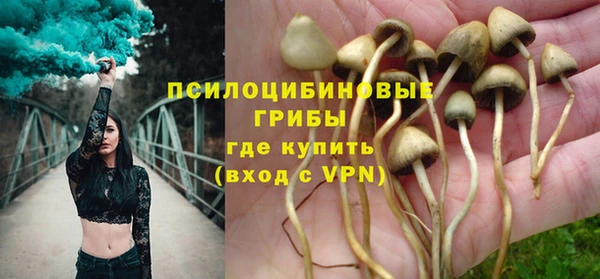 крисы Алексин