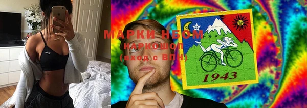 крисы Алексин