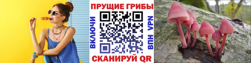 Галлюциногенные грибы Psilocybe  мориарти состав  Агидель 